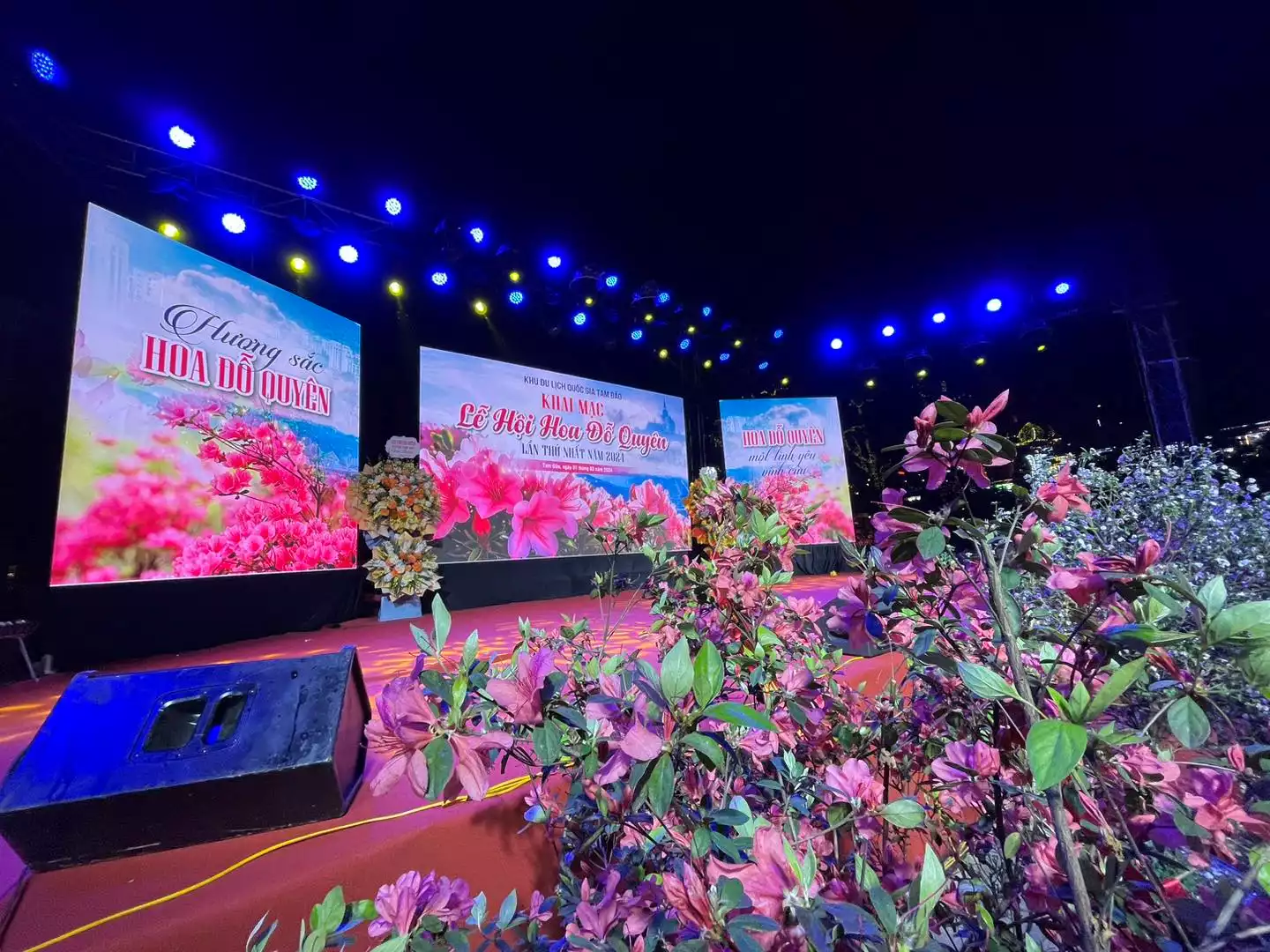 Khai mạc Lễ hội hoa đỗ quyên lần thứ nhất năm 2024