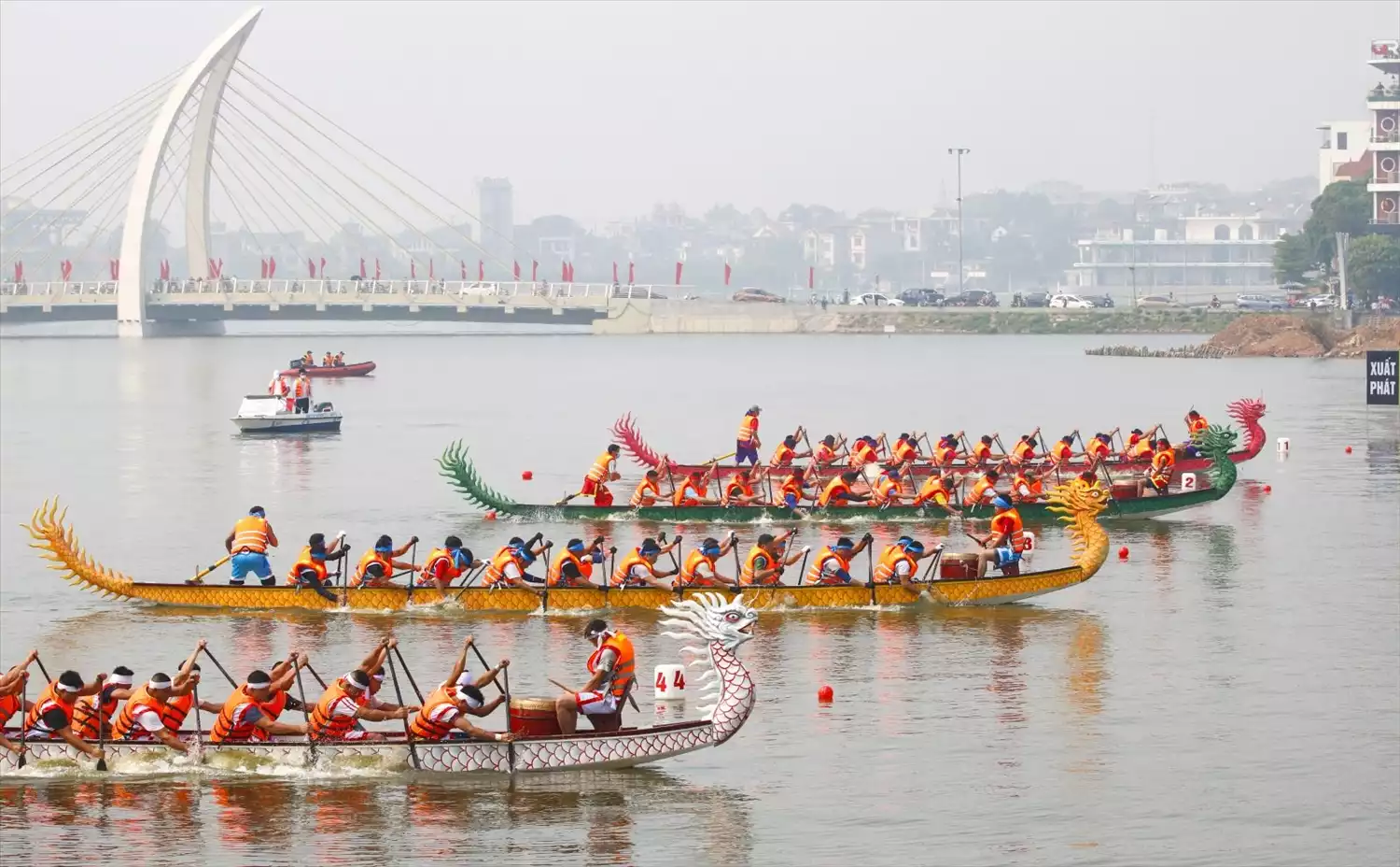 Hội Bạch Hạc